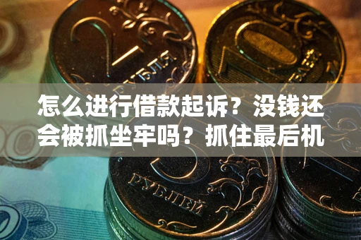 济南怎么进行借款起诉？没钱还会被抓坐牢吗？抓住最后机会！