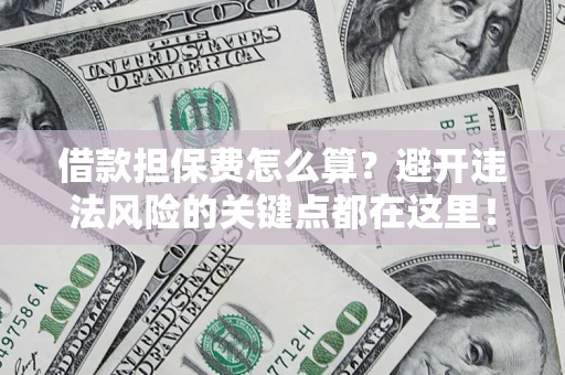 济南借款担保费怎么算？避开违法风险的关键点都在这里！