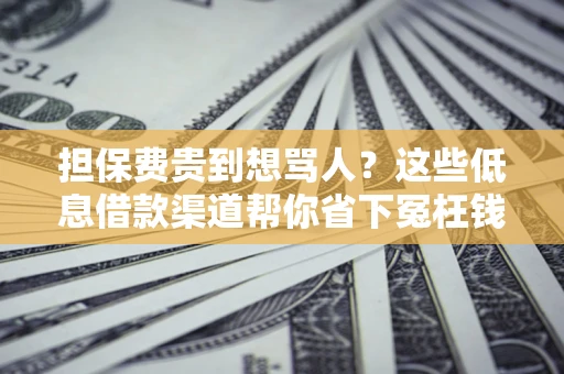 济南担保费贵到想骂人？这些低息借款渠道帮你省下冤枉钱