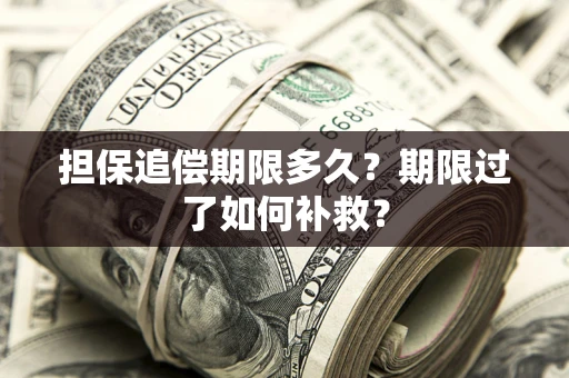 济南担保追偿期限多久？期限过了如何补救？