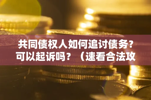 济南共同债权人如何追讨债务？可以起诉吗？（速看合法攻略）
