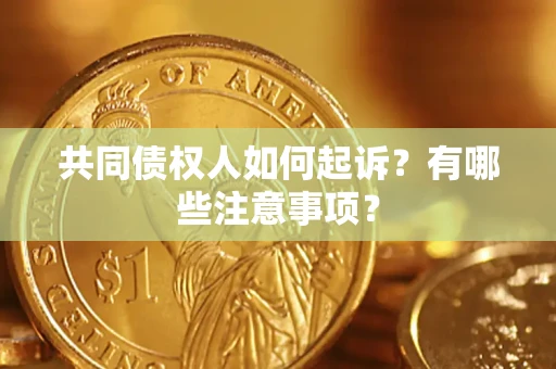 济南共同债权人如何起诉？有哪些注意事项？